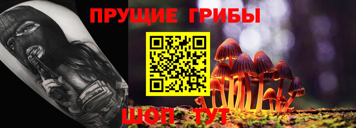 Миллерово  Галлюциногенные грибы ЛСД  Вход с VPN 